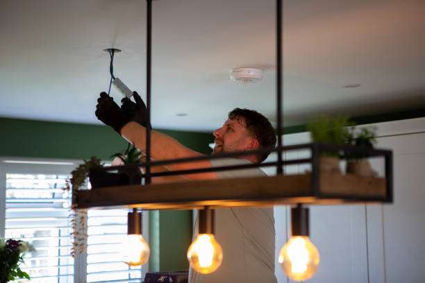 Best Electric Panel Repair  in Prospect Heights, IL
